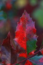 IMG_3183.JPG