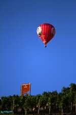 PEIMG_5851.jpg PEIMG_5851.jpg