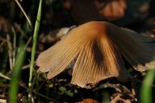 DSC05291_ji.jpg