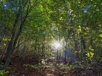 IMG_0078affinity-dramatic2.jpg