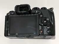 OLY-EM1II_1200_04.jpg