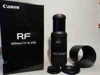 RF 600.jpg