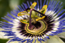 _DSC0018.jpg _DSC0018.jpg