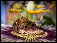 img2004-06-18-093757.jpg img2004-06-18-093757.jpg