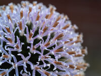 kudi 2.jpg kudi 2.jpg