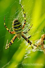 comp_1IMGP5171-1.jpg comp_1IMGP5171-1.jpg