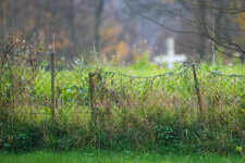 DSC00007-2.jpg