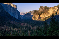 -Yosemite Forum_ Kopie.jpg
