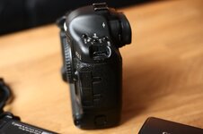 Canon-EOS1ds-II_CS3_7752.jpg