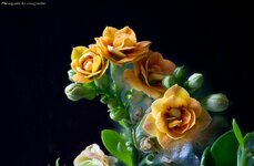 2023-01-08 11-19-02 (B,R8,S4)!.jpg 2023-01-08 11-19-02 (B,R8,S4)!.jpg