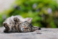 20220625-IMG_0484-b.jpg
