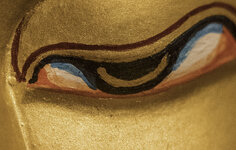 tara-fd50macro-extension-crop.jpg