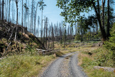 2022-07-24 11-46-04 Wanderung von Hinterhermsdorf nach Schöna.jpg