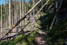 2022-07-24 10-55-28 Wanderung von Hinterhermsdorf nach Schöna-4.jpg