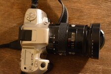 DSC_0596.jpeg