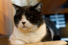 DSC06343_DxO_small.jpg