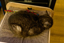 DSC06345_DxO_small.jpg