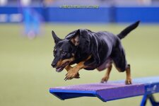 comp_IMG_5611.jpg