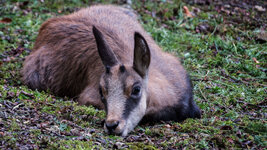 P1000150-Bearbeitet.jpg