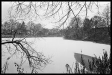 DSC00733.jpg