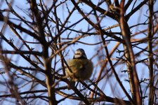 IMG_7302_.jpg