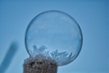 IMG_2682 (1)-2.jpg