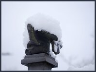 Schnee-Handschuh.jpg