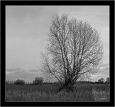 L1004632-Pano.jpg