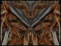 comp_Holz-Feuer-Asche.jpg