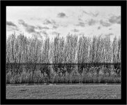 L1004620_stitch-Bearbeitet.jpg