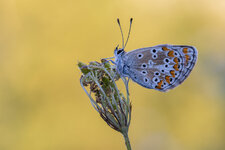 20220903-IMG_2823-b.jpg