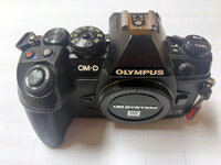 oly bild oben Kopie.jpg