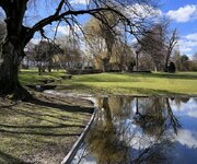 Schatten_im_Wasser.jpg