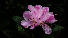 comp_P2040016.jpg