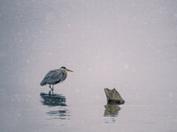 WP-2023-01-_OM35264-topazN2-sharpen-3.jpg
