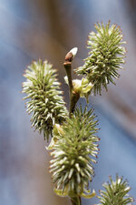 DSCF0325.jpg