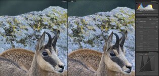 IG_DXO-vs-Orig.jpg
