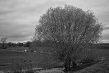 2023-04-15sw03.jpg