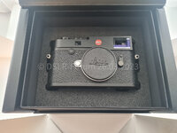 summilux-m 50 asph -38.jpg