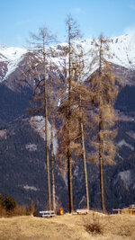 Ordnung_16-9.jpg