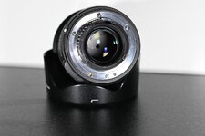 comp_Z50_8748.jpg