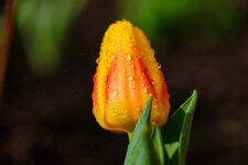 DSCF0543.jpg