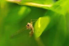 comp_DSC03002.jpg