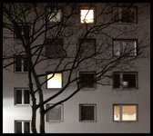 P1011884v2.jpg