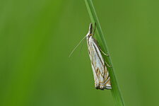 CramLath_20130605_7628_E7D_v1.JPG