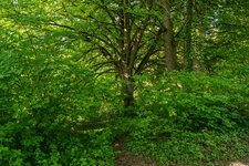 DSC05079.jpg