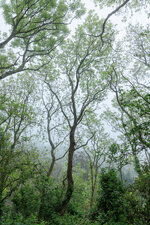 3O6A3434.jpg
