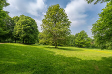 DSC05215.jpg