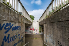 DSC05216.jpg