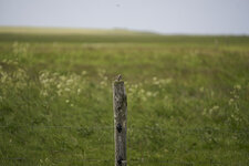 2023A7IV06585.jpg